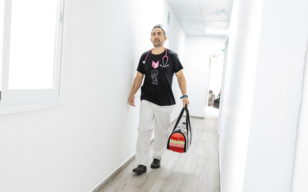 ¿Qué hace un centro de diagnóstico veterinario y cuándo acudir a uno?